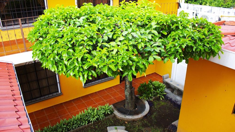 Hotel Terra San Salvador