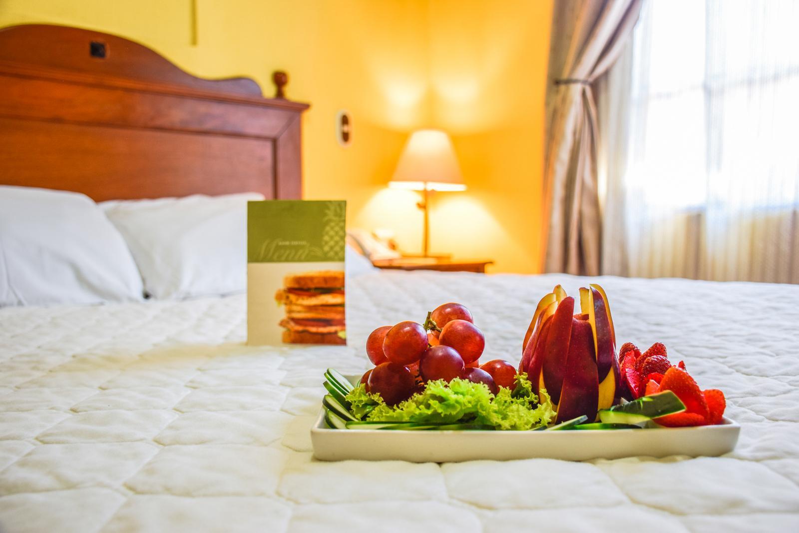 Hotel Terra 3*